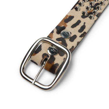 CHEETAH STUDDED BELT ACCESSORIES GALLERY DEPARTMENT LLC