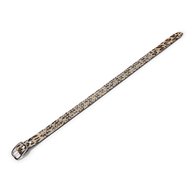CHEETAH STUDDED BELT ACCESSORIES GALLERY DEPARTMENT LLC