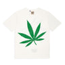 WEED TEE TOPS GALLERY DEPARTMENT LLC